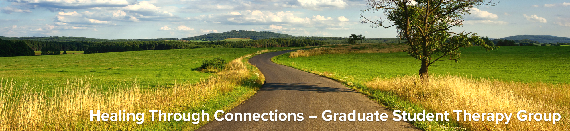 Healing Through Connections – Graduate Student Therapy Group