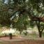 Contemplative Garden